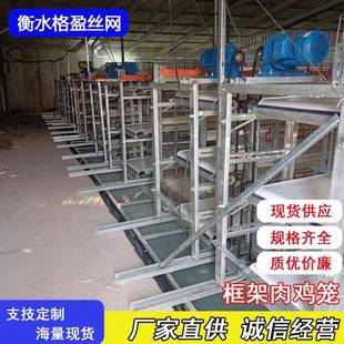 框架肉鸡笼养殖设备框架镀锌鸡笼带自动清粪喂料厂家供应