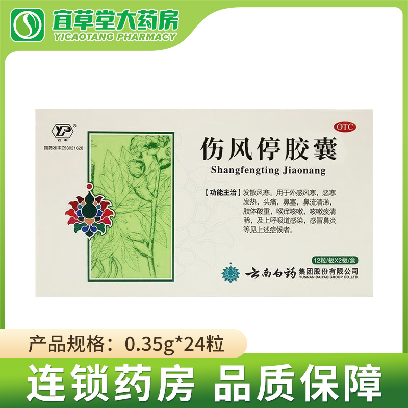 【云丰】伤风停胶囊0.35g*24粒/盒