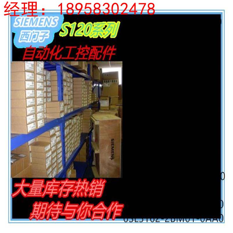 西门子611脉冲电阻 0.3/25kW/6SN1 113 6SN1113-1AA00-0DA0/ODAO