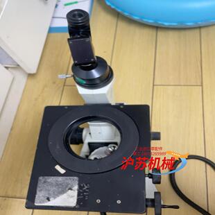 olympus ck40显微镜