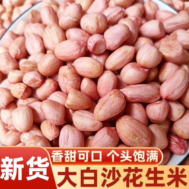 新货大白沙农家大颗粒花生米图片
