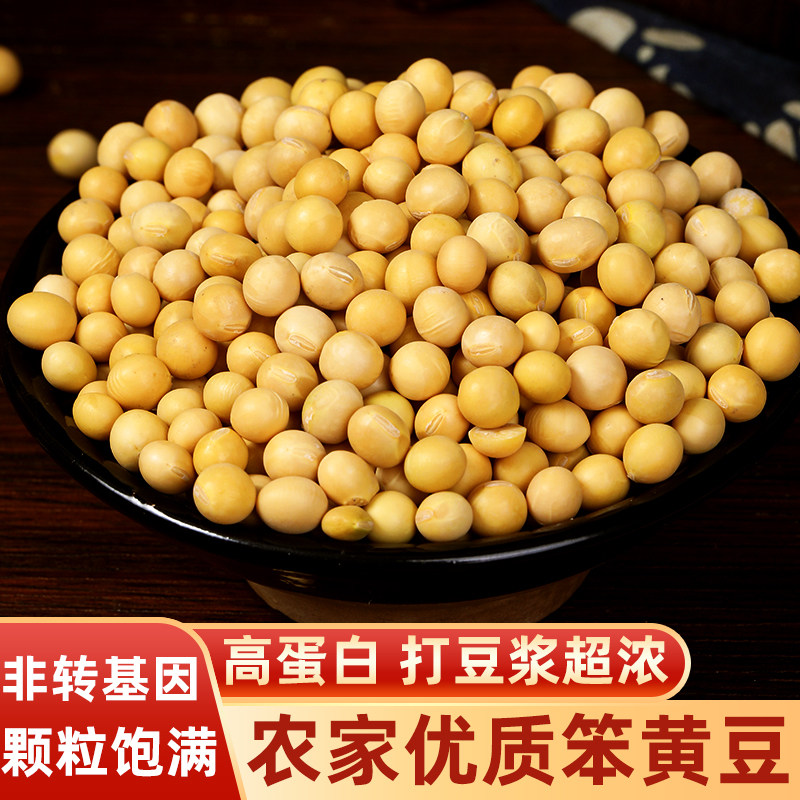 东北农家新货非转基因高蛋白黄豆