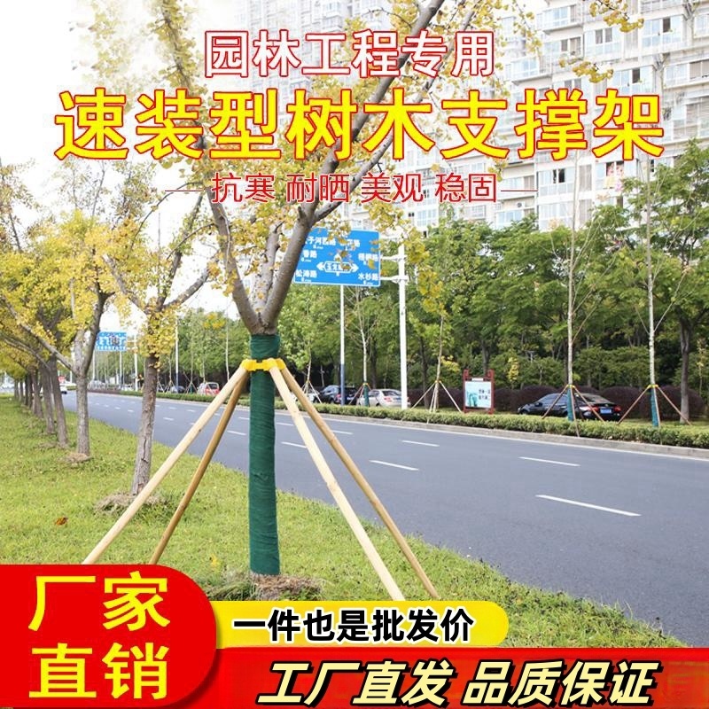 树木支撑杉木松木杨木棍支撑架杆园林绿化固定器防风工程稳定支架