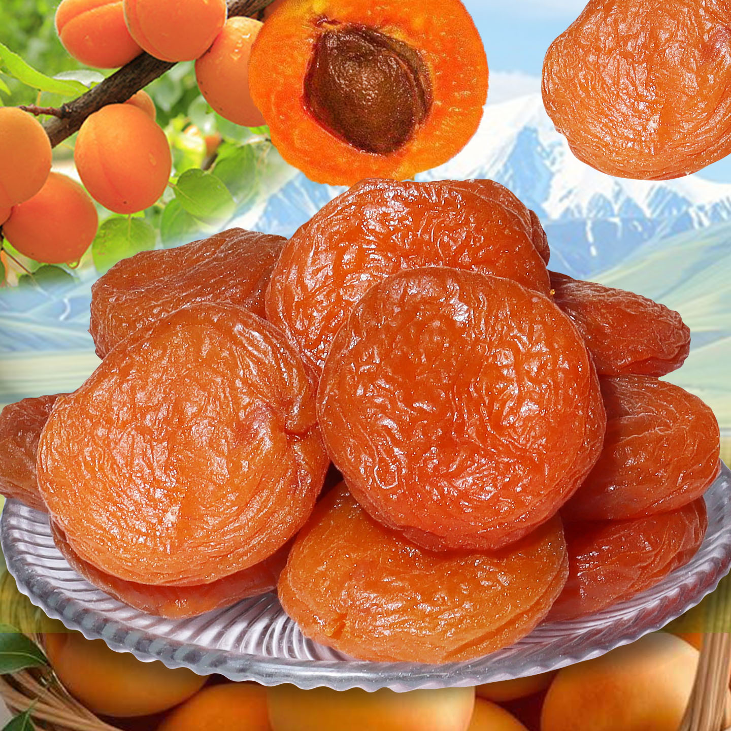 新疆杏干无核大杏干酸甜果肉脯