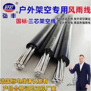 精选国标铝线3芯6/10/16平方户外防老化架空线家用电缆地埋护套线