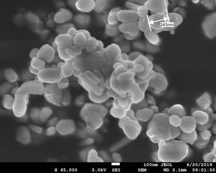 科研专用 纳米二氧化钛粉末 亲油亲水高纯TiO2颗粒金红石型锐钛型