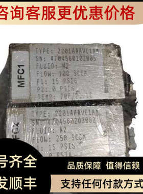 议价流量计2201AAAVC1AM