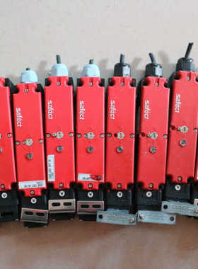 SAFECT 安全门锁开关 CLS-M1AD DC24V