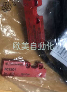 XCSDMC59030EX 安全门磁开关 XCSZC1