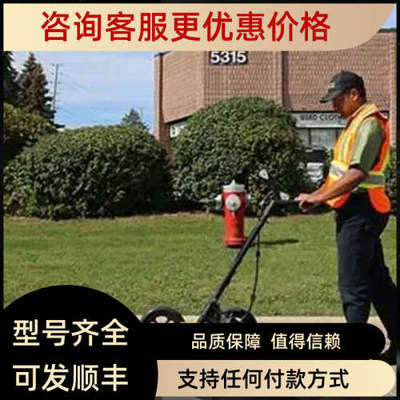 议价Radiodetection 地下管道探地雷达 LMX100? 管道探测器 PCMx
