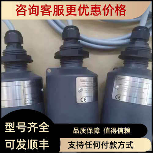议价E+H恩德斯豪斯FDU80-RG1A物位仪传感器