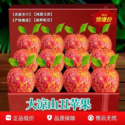 大凉山丑苹果新鲜水果当季整箱四川盐源红富士冰糖心苹果力荐A