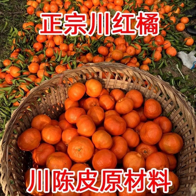 四川红橘大红袍橘子新鲜水果正宗