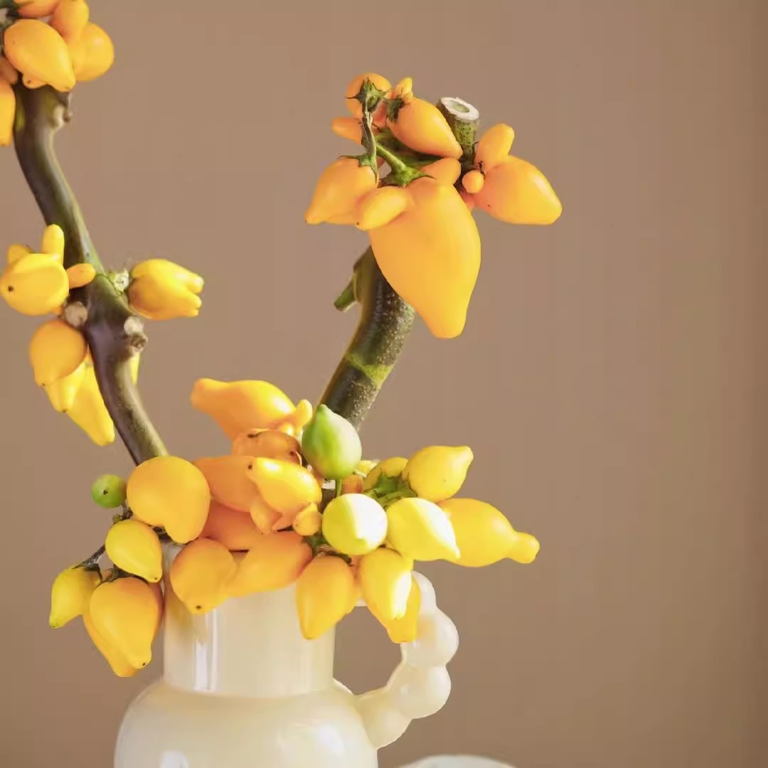 富贵发财长寿年宵鲜花