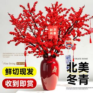 【S级】天物80-90cm北美冬青红果真花水培鲜切银柳鲜枝年宵花卉