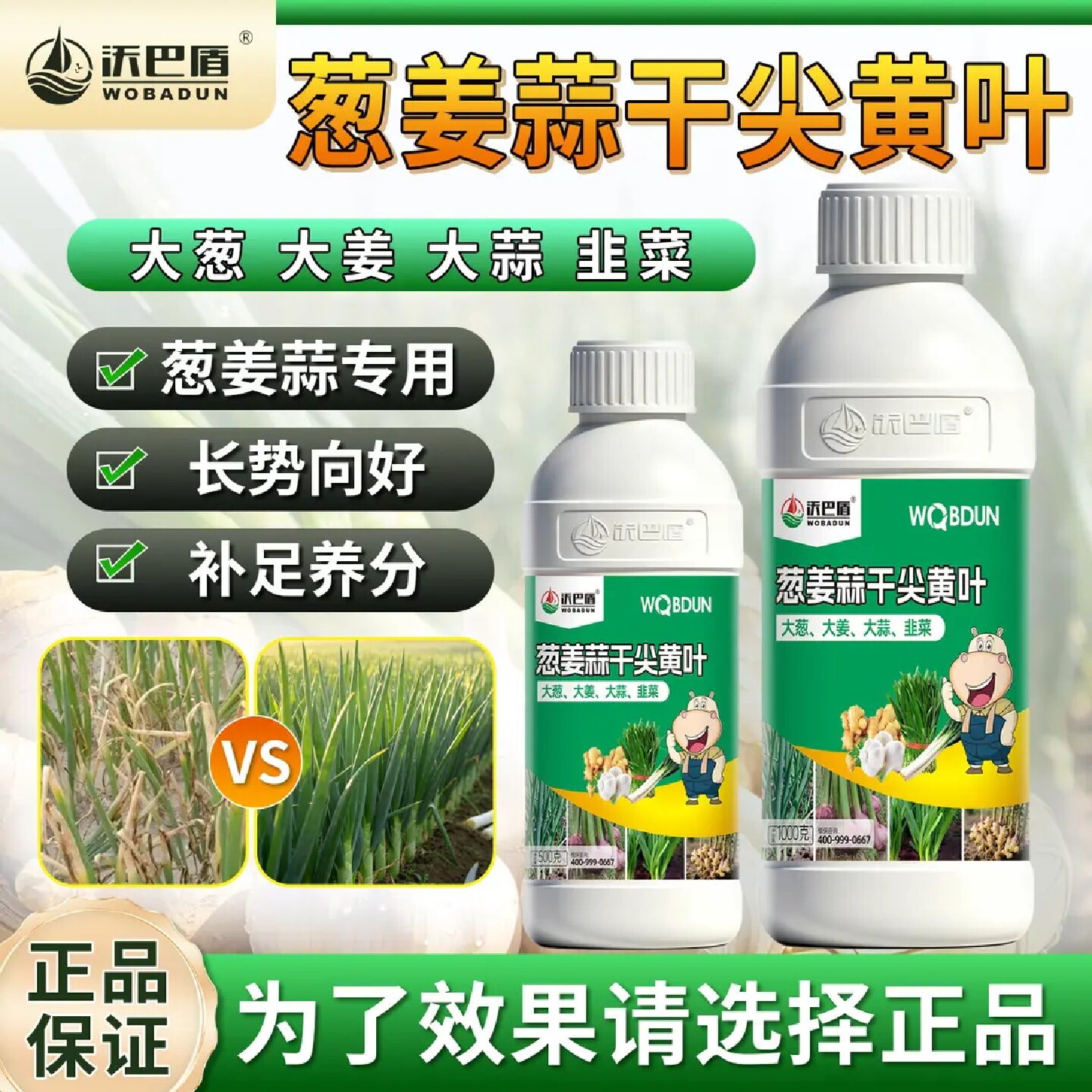 沃巴盾葱姜蒜干尖黄叶叶面肥促根壮苗提质增产长势向好补足养分