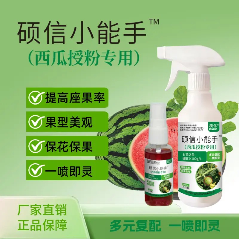 Shuoxin/硕信授粉小能手西瓜提高坐果保花增产科学专用叶面肥正品