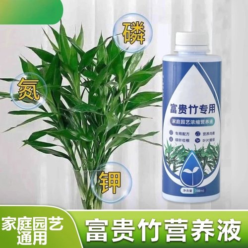 长林园艺富贵竹专用家庭园艺浓缩营养液水培绿植烂根生根黄叶掉叶