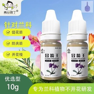 青丛园丁冒箭王蝴蝶兰君子兰兰花专用冒箭促箭防夹箭花期长花多