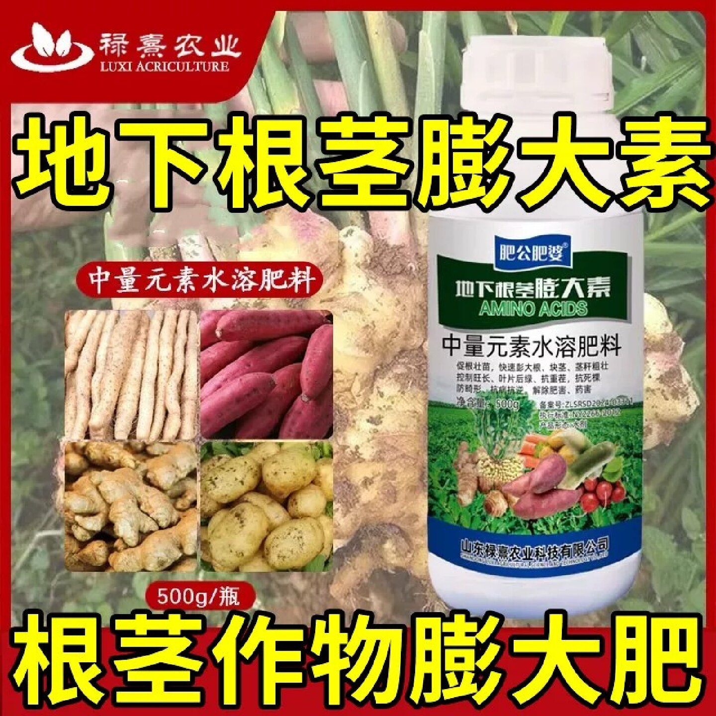 禄熹农业肥公肥婆地下根茎膨大素萝卜红薯土豆山芋药花生水溶肥料
