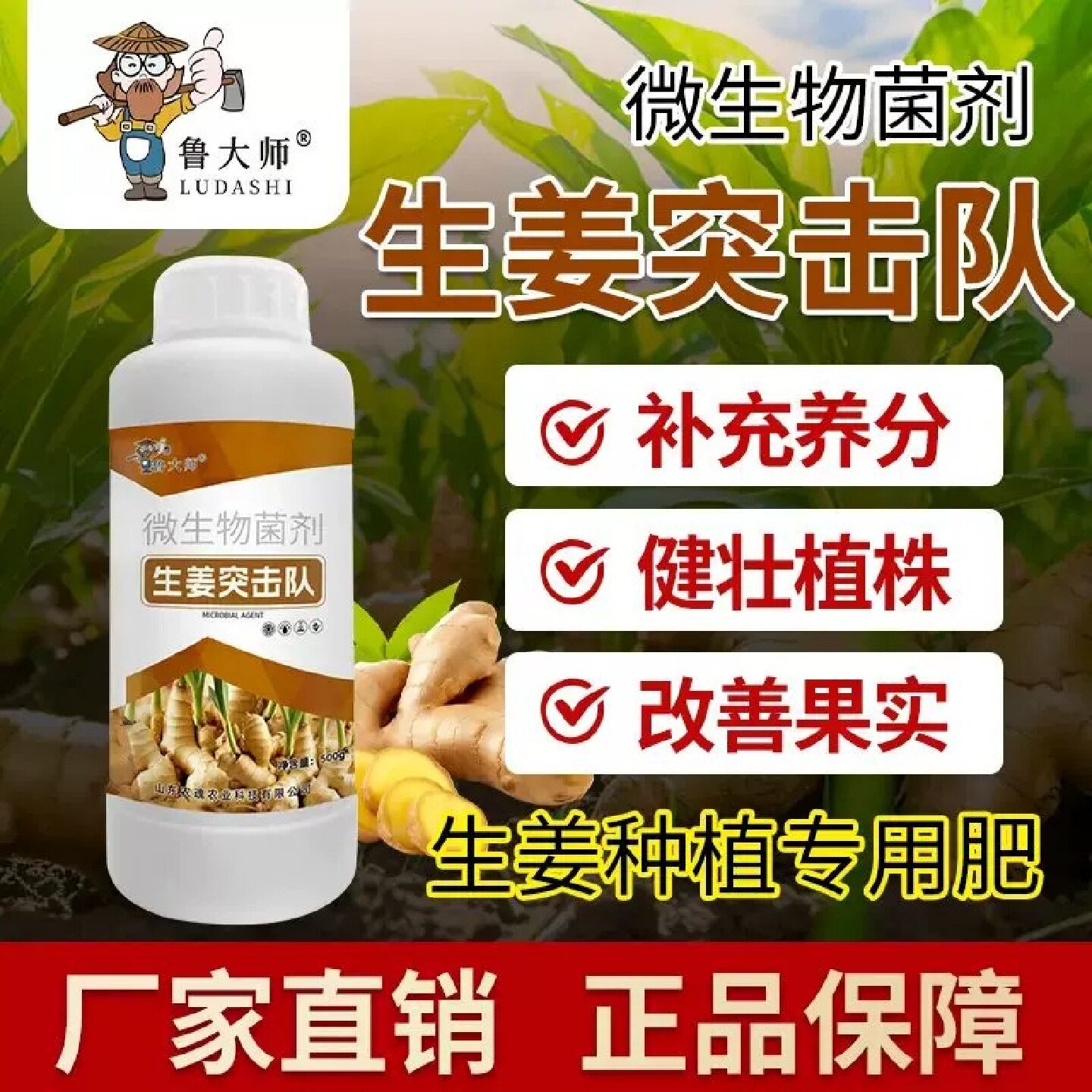 鲁大师生姜突击队大姜种植专用提高免疫快速吸收生根壮苗营养液