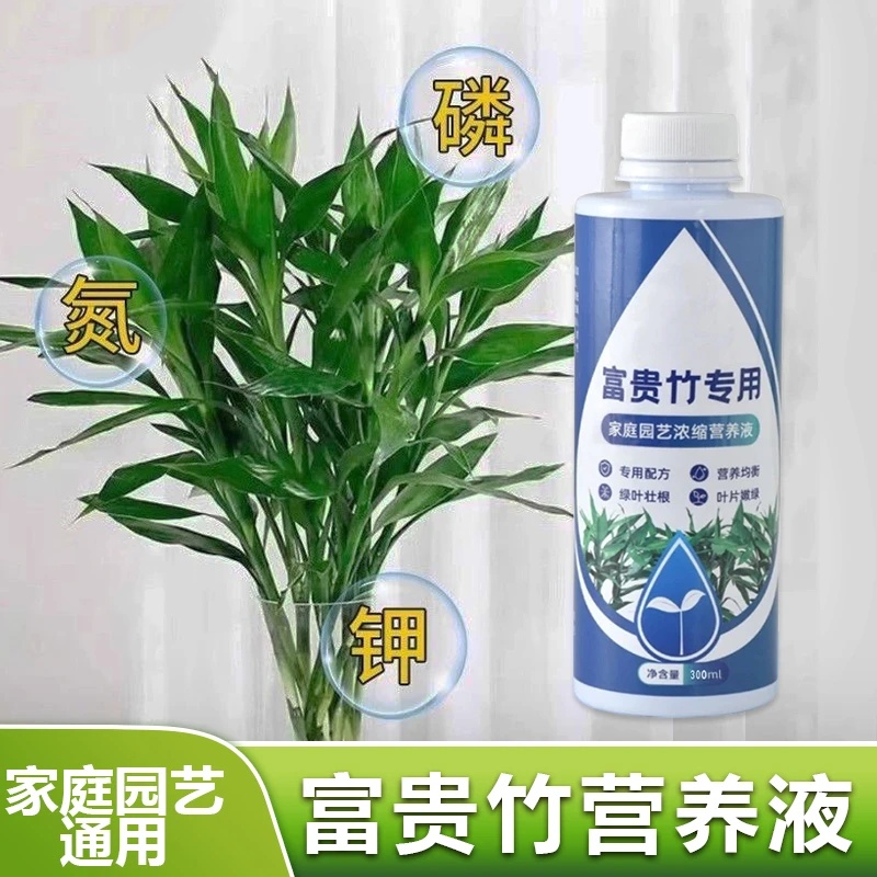 长林园艺富贵竹专用家庭园艺浓缩营养液园艺肥料水培绿植通用养花
