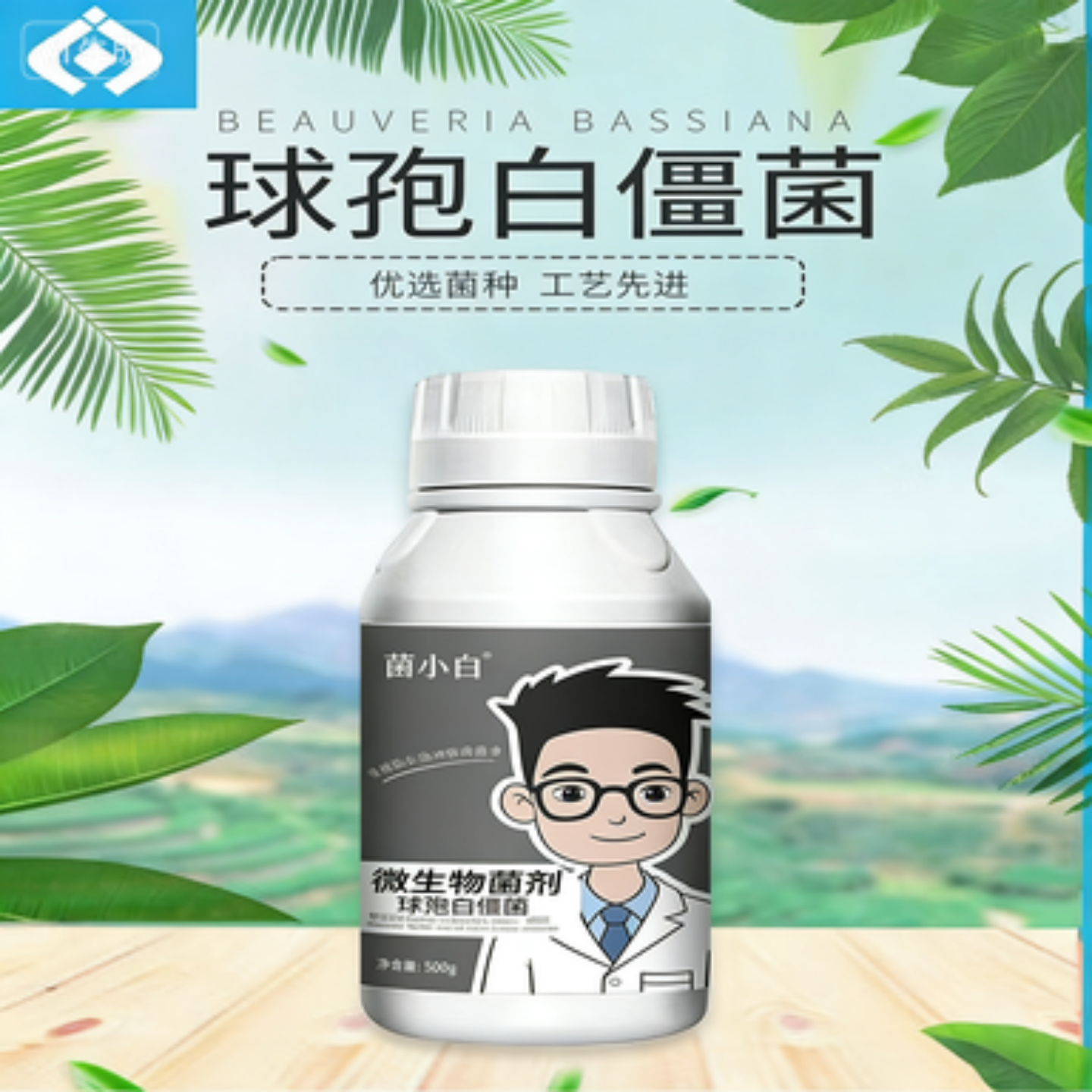 中向生物推荐菌小白球孢白僵菌微生物菌剂瓜果蔬菜优选通用型肥料