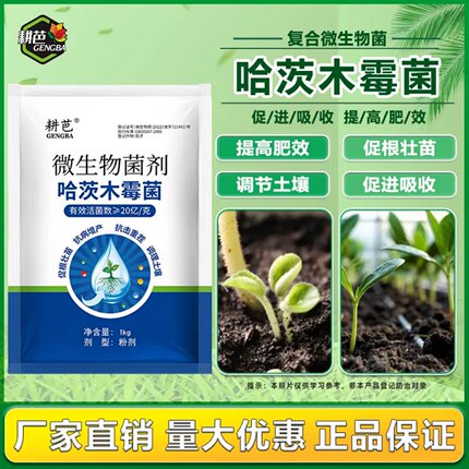 耕芭20亿哈茨木霉菌调酸碱促生根提高肥效促进吸收复合微生物菌剂