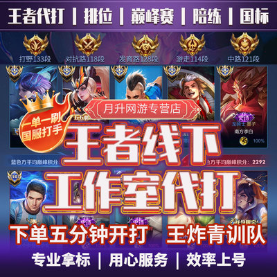 王者荣耀代练代打排位巅峰赛大小国标陪练陪玩上分车队超高效率