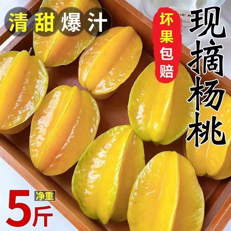 漳州杨桃应季水果大果孕妇杨桃