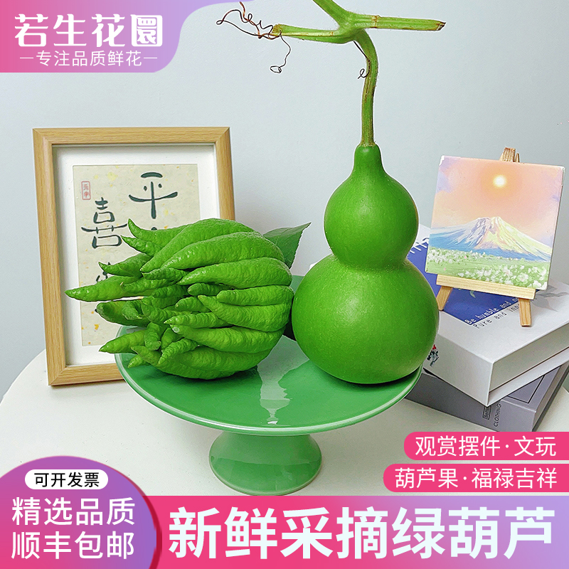 新鲜采摘佛手柑香橼果绿皮葫芦