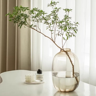小叶女贞花瓶喜悦玻璃花瓶大肚瓶透明灰客厅装饰高级感摆件ins风