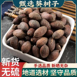 葵树子野生中药材500g精选广西大粒葵树籽老果葵扇子葵扇籽蒲葵籽