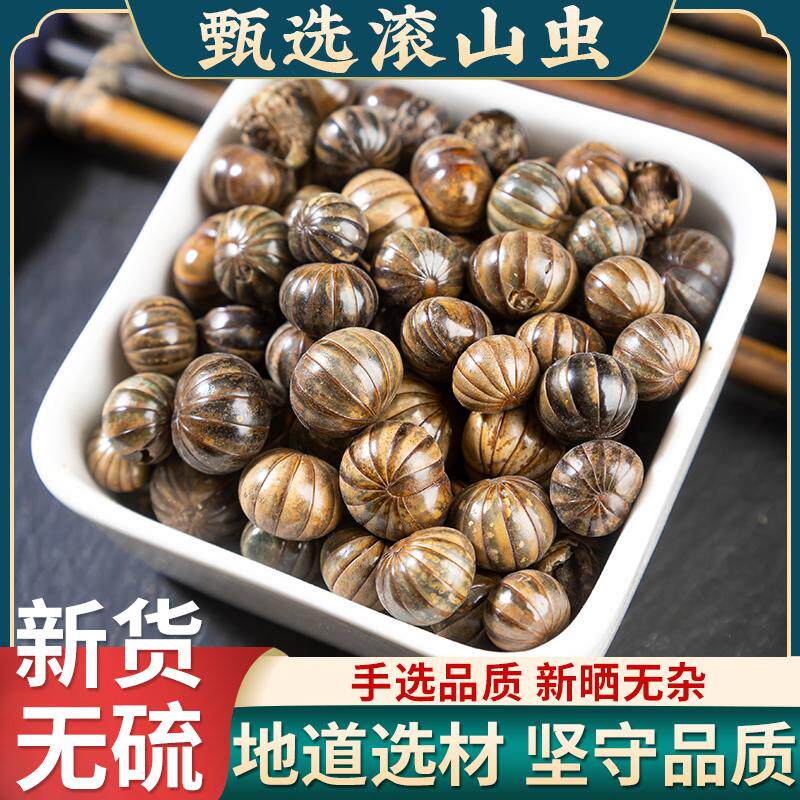 滚山虫鼠妇虫中药材250克野生滚山虫干货潮湿虫、潮虫子、地虱婆
