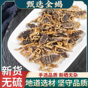 全蝎中药材100克 蝎子中药材 蒙山全蝎干全蝎 中华小钳蝎正品