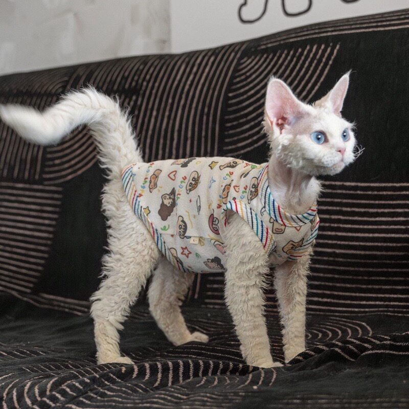 德文小猫衣服春夏款透气无毛猫斯芬克斯护肚衣猫咪卡通印花背心夏