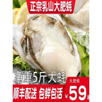 ly乳山生蚝鲜活特大箱净重5斤海鲜海蛎子新鲜乳山牡蛎非10斤