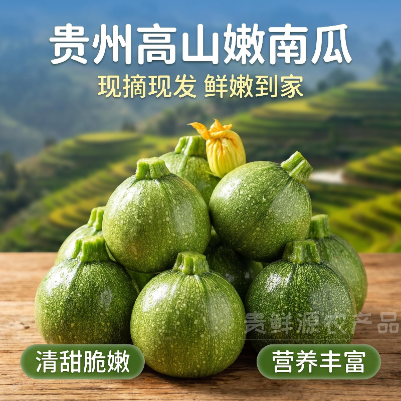 贵州小南瓜新鲜现摘农家自种青皮小南瓜蔬菜当季高山嫩南瓜