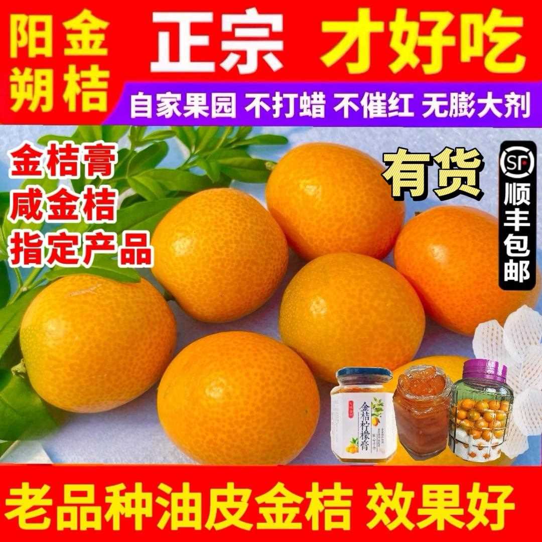 广西桂林阳朔油皮金桔新鲜金桔水果老品种酸甜大果特产顺丰包邮