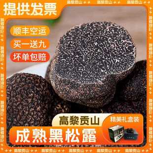 云南野生黑松露 新鲜冰冻黑松茸白松露火锅食材礼盒黑松茸