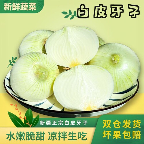 新疆水果洋葱新疆特产白皮牙子