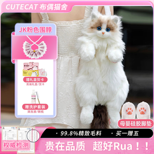 仿真猫咪布偶猫背包玩偶毛绒玩具送朋友女孩儿童高端小众生日礼物