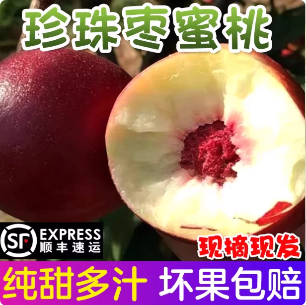 正宗蒙阴珍珠枣油桃当季新鲜现摘时令水果整箱顺丰包邮