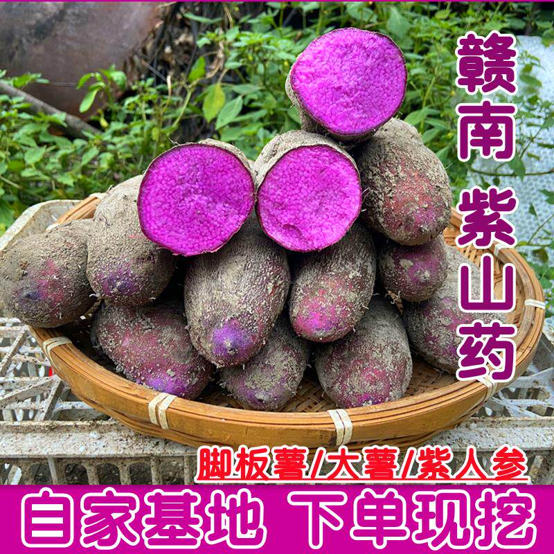 赣南紫山药新鲜5斤脚板薯紫大薯江西赣州紫淮山毛薯农产品蔬菜10