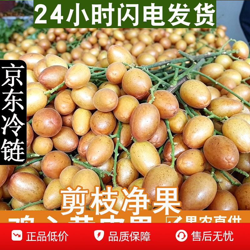 鸡心黄皮果新鲜现摘黄皮京东快递