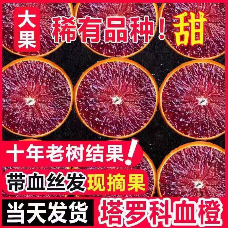 现摘塔罗科血橙新鲜现摘现发水果玫瑰香橙伦晚时令10水