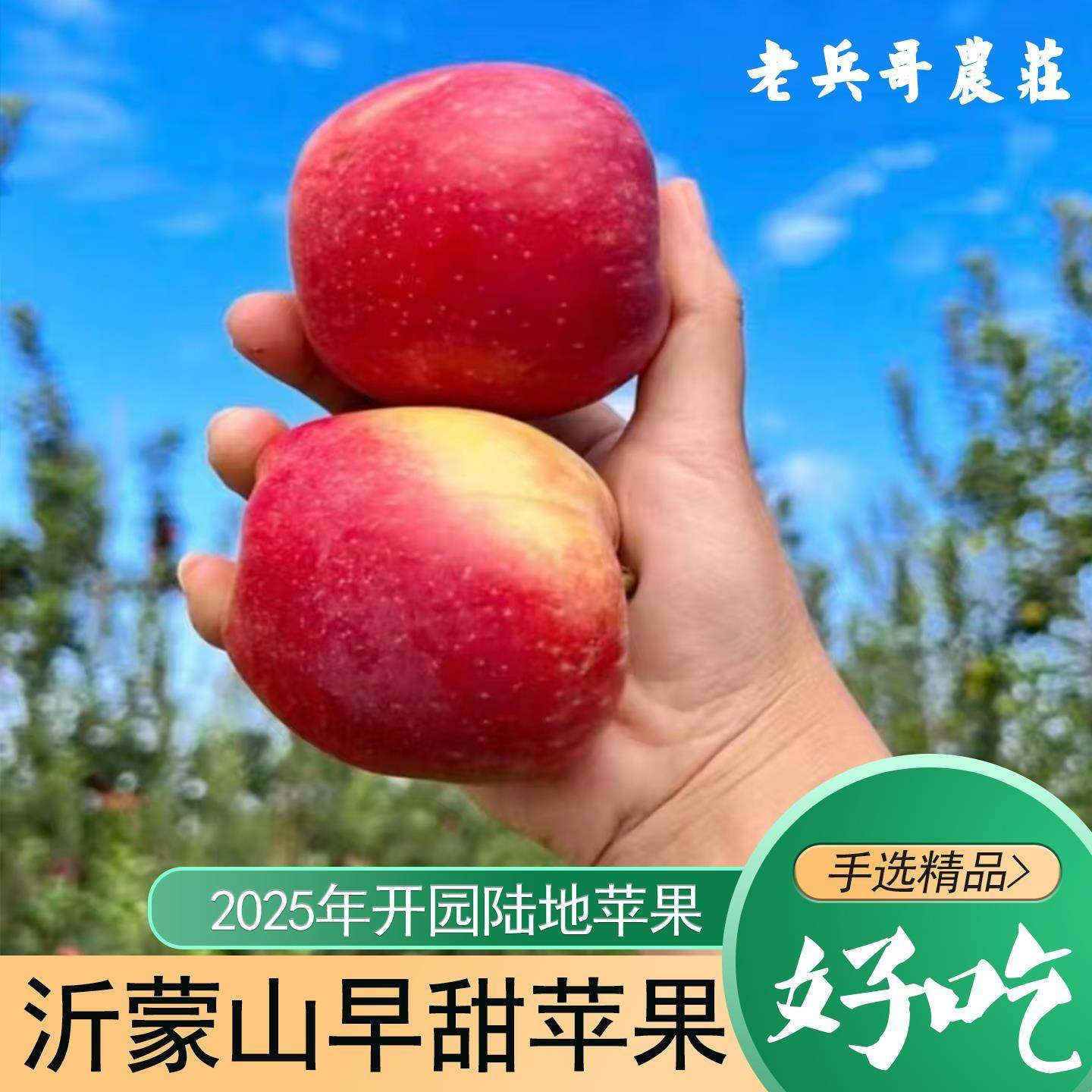 山东鲁丽苹果新鲜水果当季脆甜多汁红富士苹果2025年开园嘎啦新鲜,水产肉类/新鲜蔬果/熟食,苹果,淘宝优惠券,粉丝福利购,淘宝优惠卷
