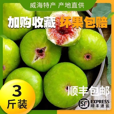 青皮无花果鲜果山东威海