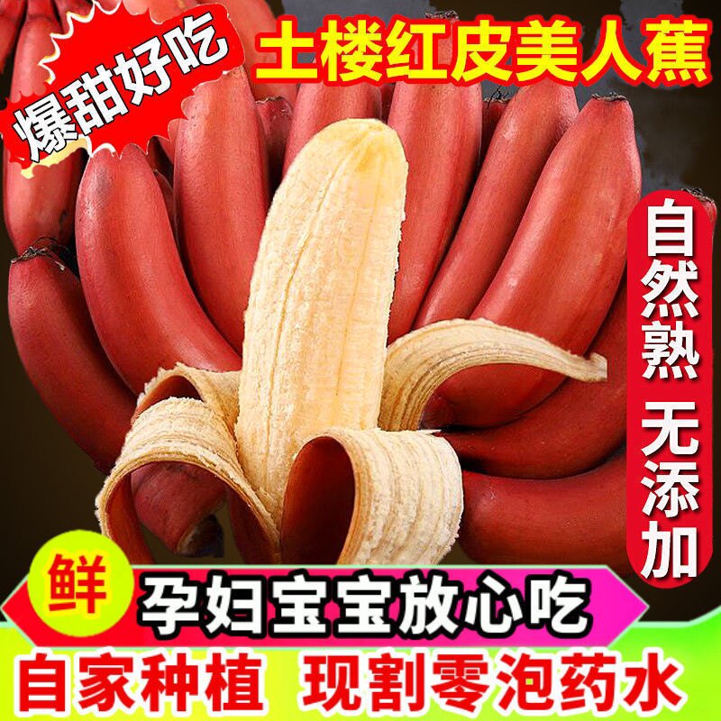 漳州红皮香蕉新鲜当季自然熟小红香焦红美人粉蕉芭蕉大果整箱w