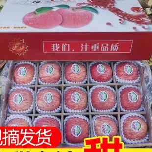 山东苹果条纹红富士产自烟台栖霞送人特级新鲜水果高端档礼盒包邮